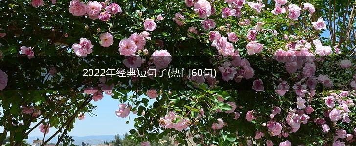 2022年经典短句子(热门60句),第1张