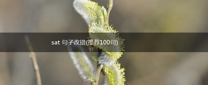 sat 句子改错(推荐100句),第1张