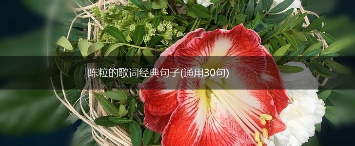 陈粒的歌词经典句子(通用30句),第1张
