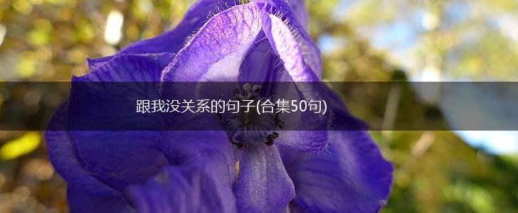 跟我没关系的句子(合集50句),第1张