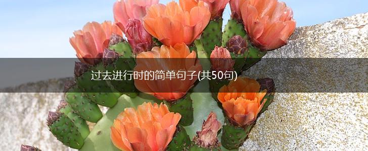 过去进行时的简单句子(共50句),第1张