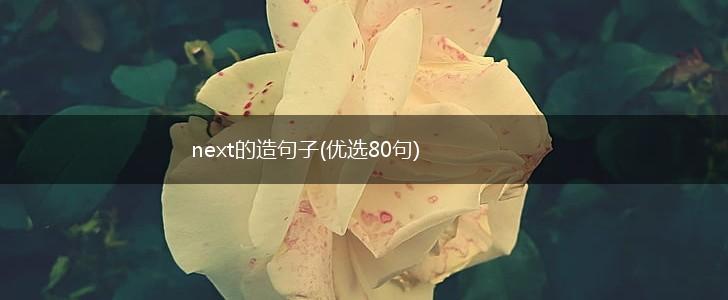 next的造句子(优选80句),第1张