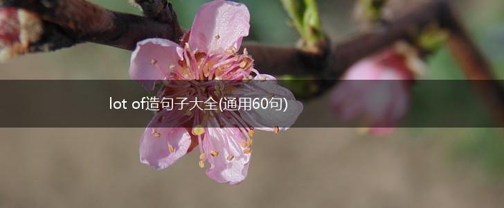 lot of造句子大全(通用60句),第1张