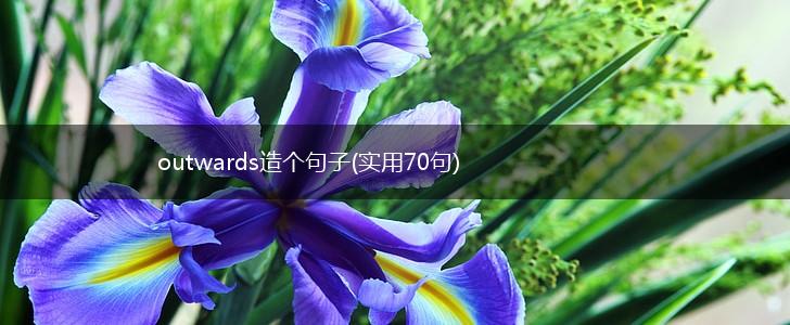 outwards造个句子(实用70句),第1张