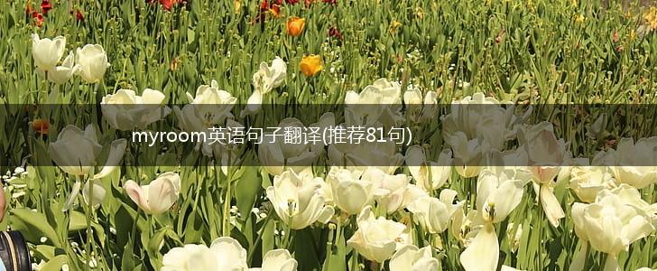 myroom英语句子翻译(推荐81句),第1张
