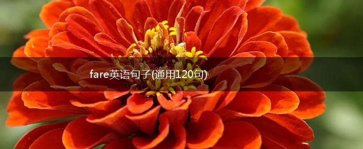 fare英语句子(通用120句),第1张