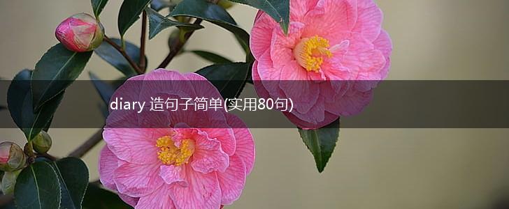diary 造句子简单(实用80句),第1张