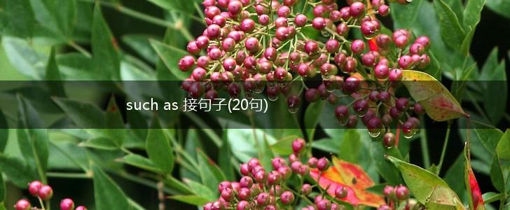 such as 接句子(20句),第1张