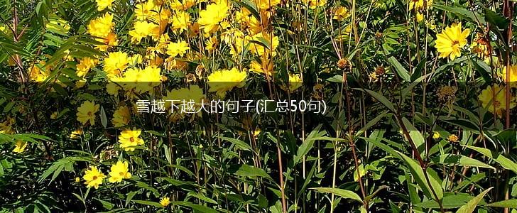 雪越下越大的句子(汇总50句),第1张