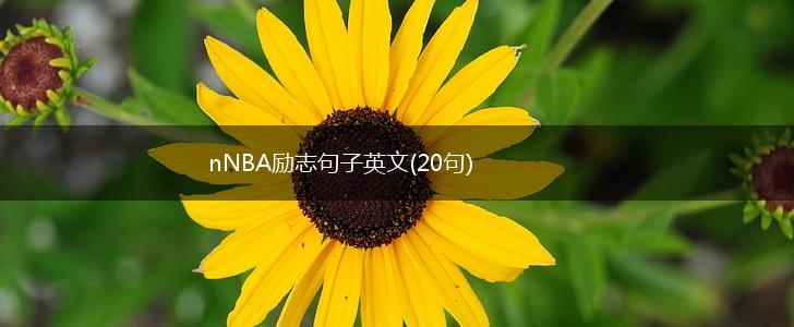 nNBA励志句子英文(20句),第1张