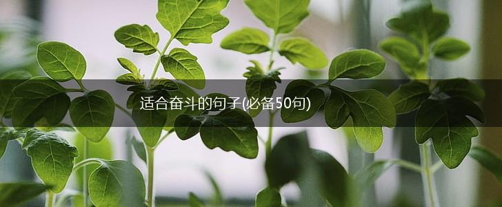 适合奋斗的句子(必备50句),第1张