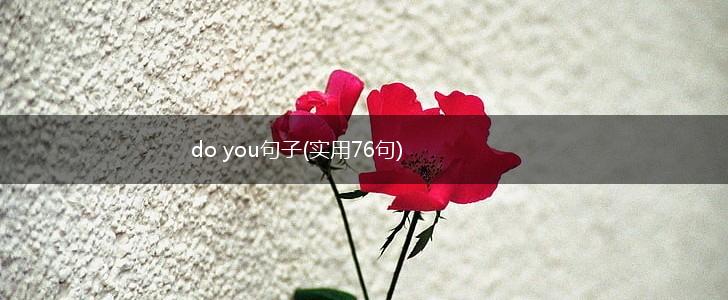 do you句子(实用76句),第1张
