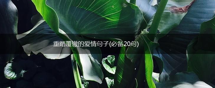 重蹈覆辙的爱情句子(必备20句),第1张
