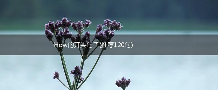 How的开头句子(推荐120句),第1张