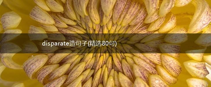disparate造句子(精选80句),第1张