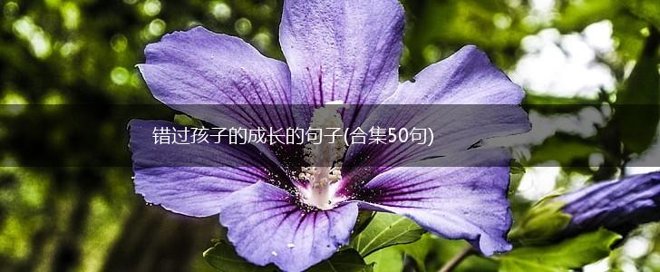 错过孩子的成长的句子(合集50句),第1张