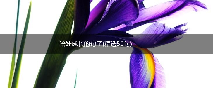 陪娃成长的句子(精选50句),第1张