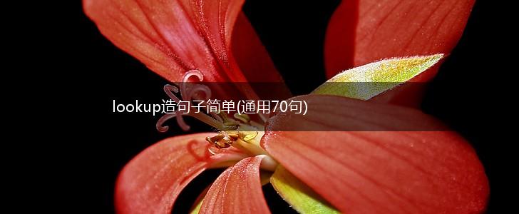 lookup造句子简单(通用70句),第1张