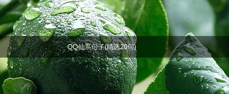 QQ仙系句子(精选20句),第1张
