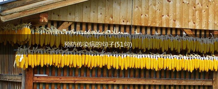 预防传染病的句子(51句),第1张