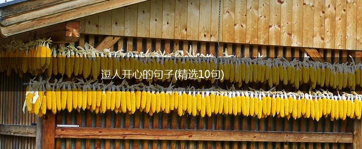 逗人开心的句子(精选10句),第1张