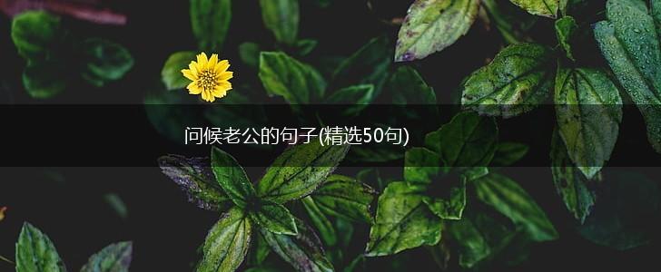 问候老公的句子(精选50句),第1张