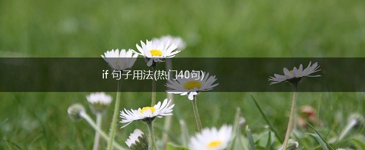 if 句子用法(热门40句),第1张