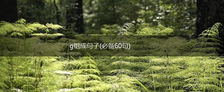 g组成句子(必备60句),第1张