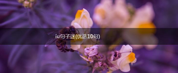 iu句子迷(优选10句),第1张