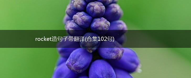 rocket造句子带翻译(合集102句),第1张