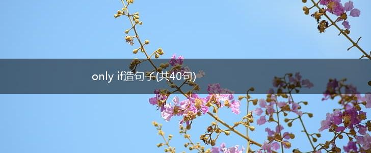 only if造句子(共40句),第1张