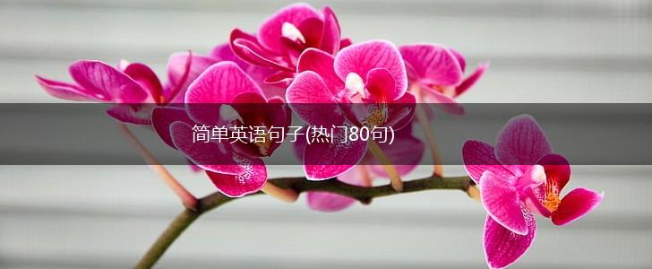 简单英语句子(热门80句),第1张
