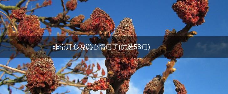 非常开心说说心情句子(优选53句),第1张