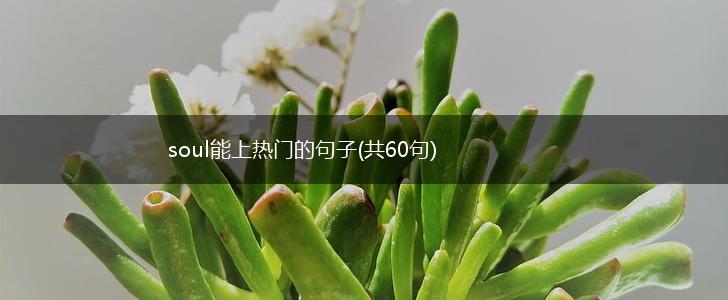 soul能上热门的句子(共60句),第1张