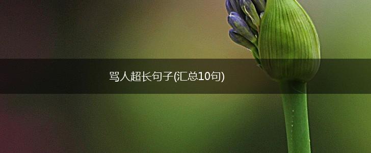 骂人超长句子(汇总10句),第1张