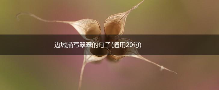 边城描写翠翠的句子(通用20句),第1张