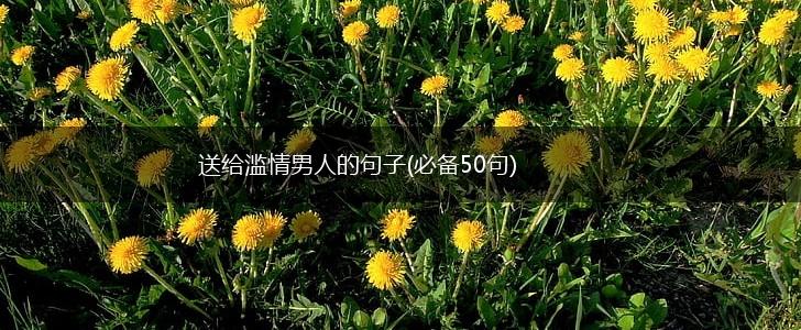 送给滥情男人的句子(必备50句),第1张