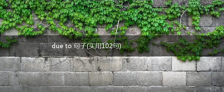 due to 句子(实用102句),第1张