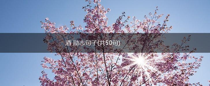 酒 励志句子(共50句),第1张