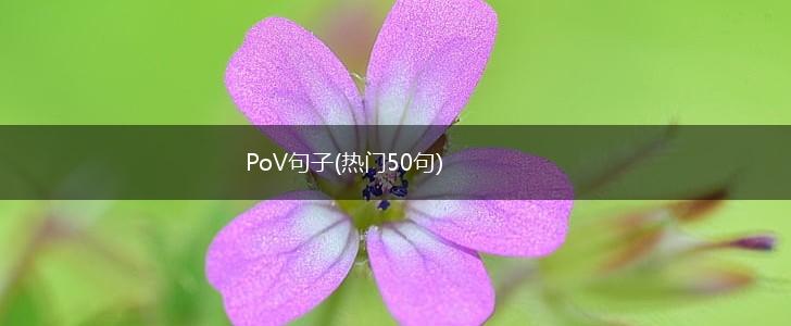 PoV句子(热门50句),第1张