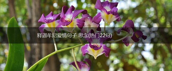 释迦牟尼爱情句子 思念(热门22句),第1张