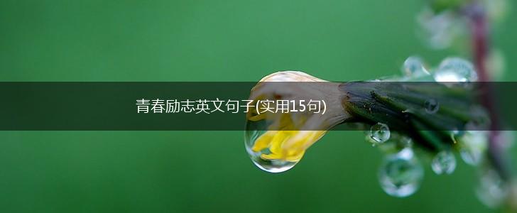 青春励志英文句子(实用15句),第1张