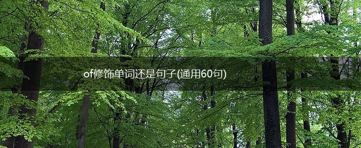 of修饰单词还是句子(通用60句),第1张