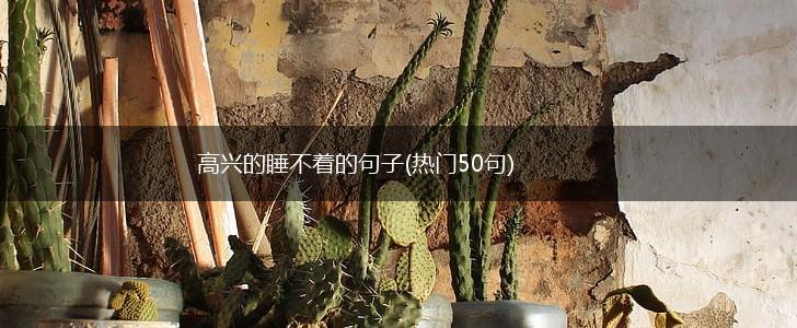 高兴的睡不着的句子(热门50句),第1张