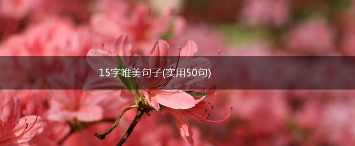 15字唯美句子(实用50句),第1张