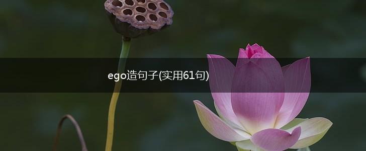 ego造句子(实用61句),第1张