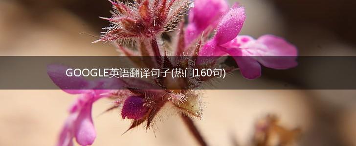 GOOGLE英语翻译句子(热门160句),第1张