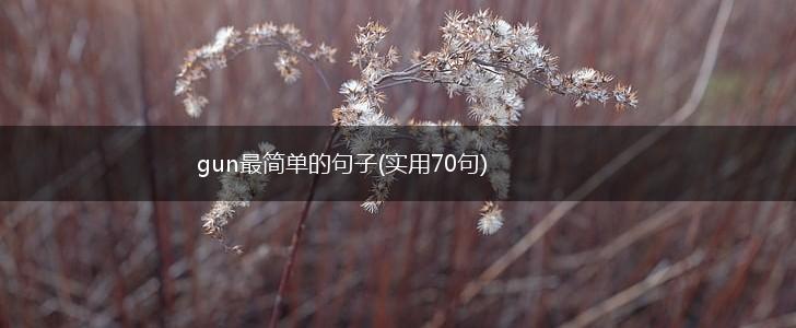 gun最简单的句子(实用70句),第1张
