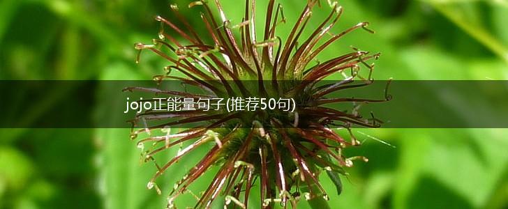 jojo正能量句子(推荐50句),第1张