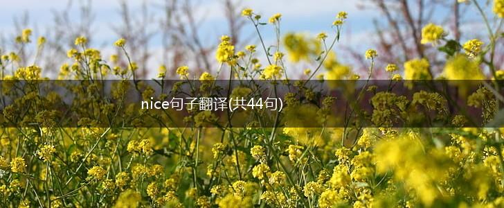 nice句子翻译(共44句),第1张